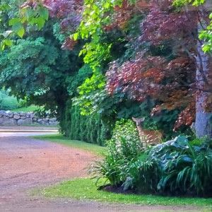 Meet your Posher, Katherine